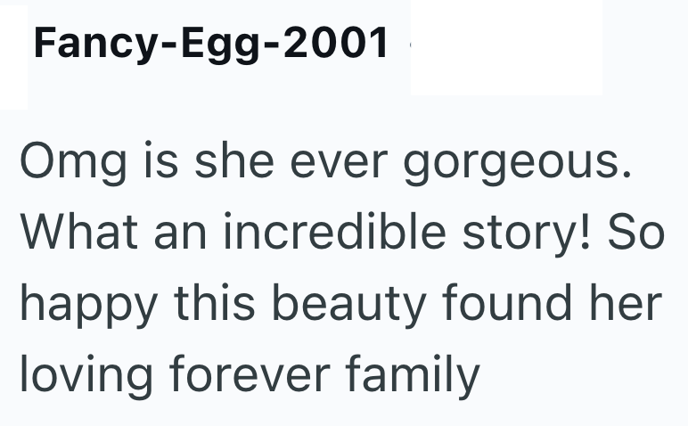 Fancy-Egg-2001 Omg is she ever gorgeous. What an incredible story! So happy this beauty found her loving forever family