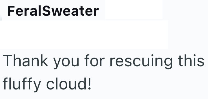 FeralSweater Thank you for rescuing this fluffy cloud!