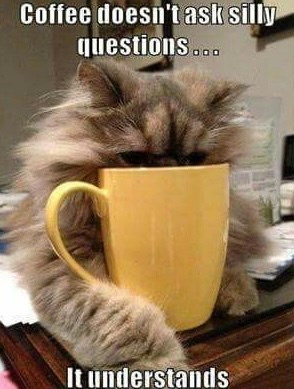 Coffee doesn't ask silly questions... It understands