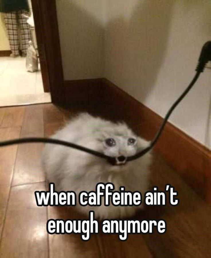 when caffeine ain't enough anymore