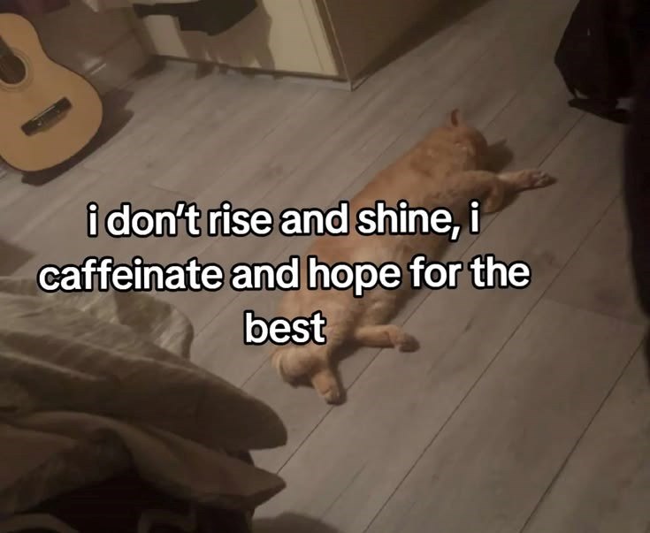 i don't rise and shine, i caffeinate and hope for the best
