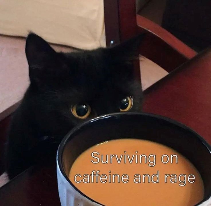 Surviving on caffeine and rage