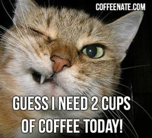 COFFEENATE.COM GUESS I NEED 2 CUPS OF COFFEE TODAY!