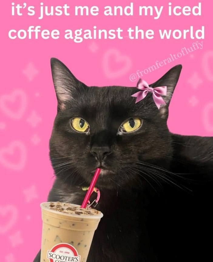 it's just me and my iced coffee against the world @fromferaltofluffy EST. 1998 SCOOTER'S CO