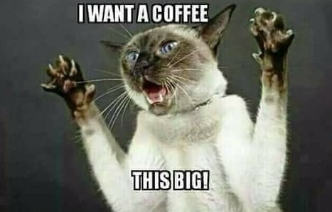 I WANT A COFFEE THIS BIG!