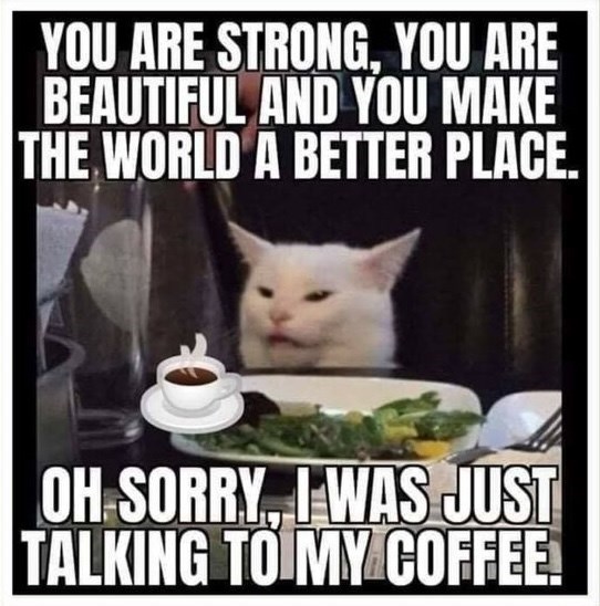 YOU ARE STRONG, YOU ARE BEAUTIFUL AND YOU MAKE THE WORLD A BETTER PLACE. OH SORRY, I WAS JUST TALKING TO MY COFFEE!