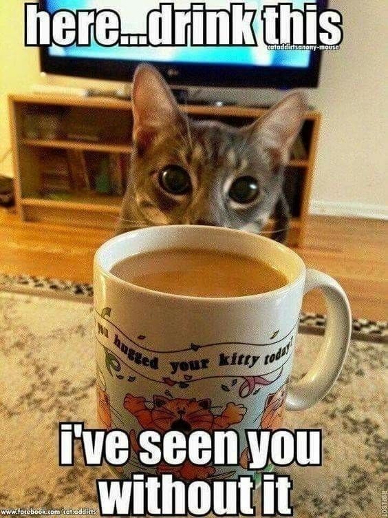 here....drink this cataddidsanony-mouse hugged your kitty today I've seen you www.facebook.com/cat-addicts without it