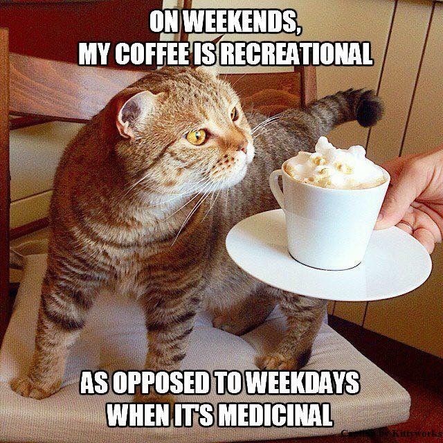 ON WEEKENDS, MY COFFEE IS RECREATIONAL AS OPPOSED TO WEEKDAYS WHEN IT'S MEDICINAL Kittywork