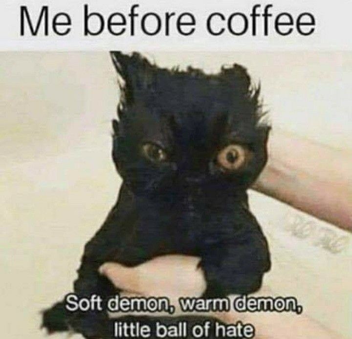 Me before coffee Soft demon, warm demon, little ball of hate