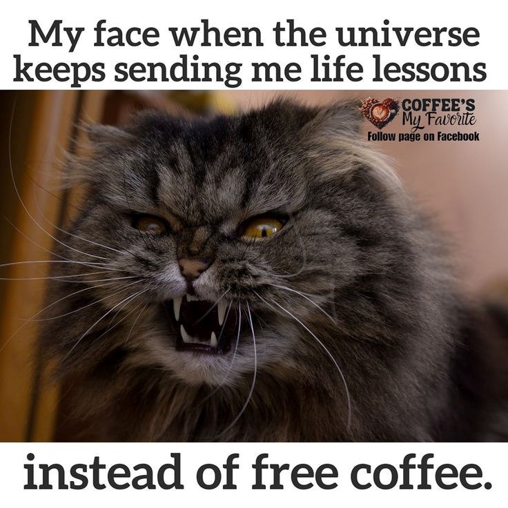 My face when the universe keeps sending me life lessons COFFEE'S My Favorite Follow page on Facebook instead of free coffee.