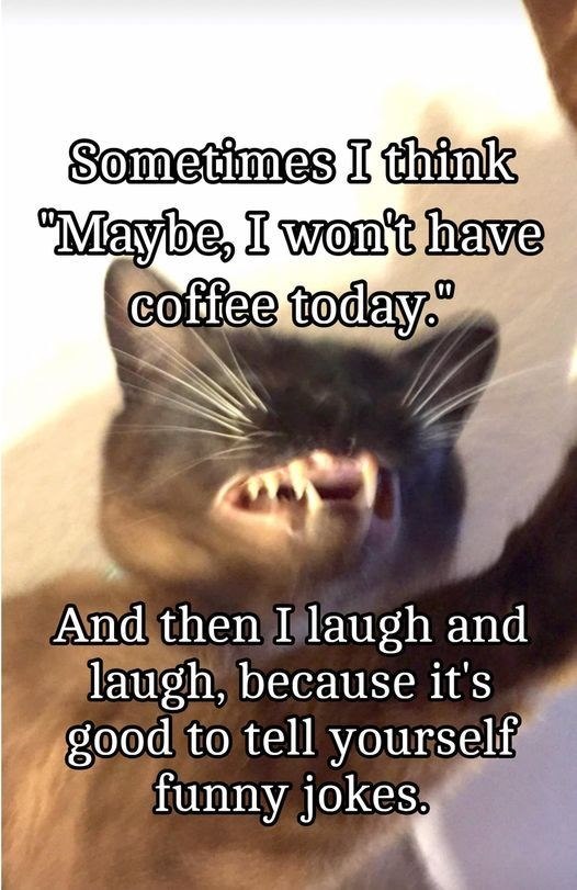 Sometimes I think "Maybe, I won't have coffee today. And then I laugh and laugh, because it's good to tell yourself funny jokes.