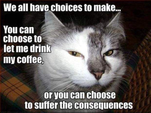 We all have choices to make... You can choose to let me drink my coffee, or you can choose to suffer the consequences