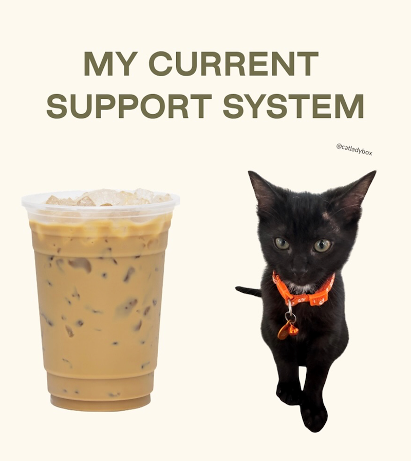 MY CURRENT SUPPORT SYSTEM @catladybox