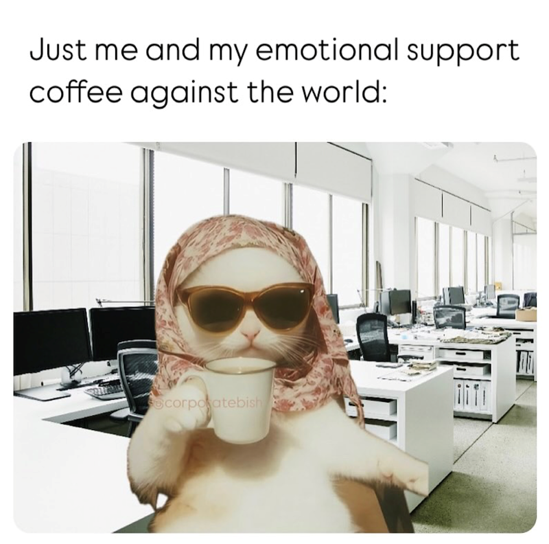 Just me and my emotional support coffee against the world: corporatebish