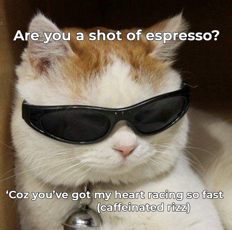 Are you a shot of espresso? 'Coz you've got my heart racing so fast (caffeinated rizz)