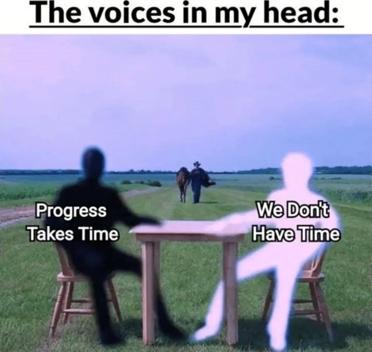 The voices in my head: Progress Takes Time We Don't Have Time