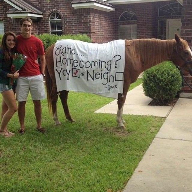 Jane Homecoming? YyNeigh -gake