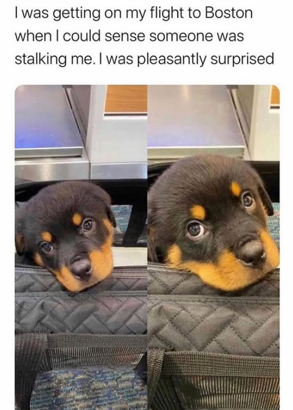 I was getting on my flight to Boston when I could sense someone was stalking me. I was pleasantly surprised