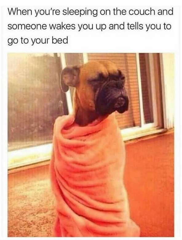 When you're sleeping on the couch and someone wakes you up and tells you to go to your bed