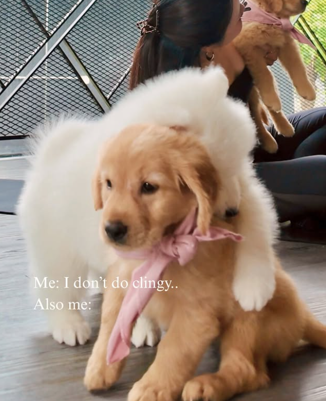 Me: I don't do clingy.. Also me:
