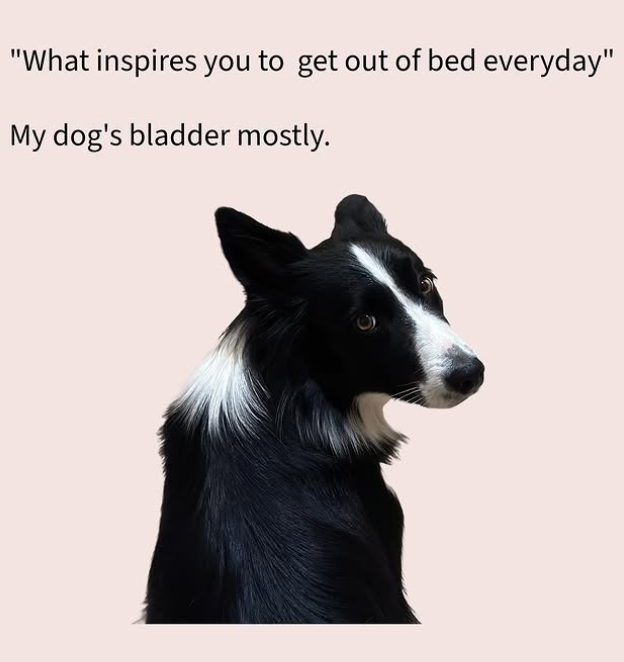 "What inspires you to get out of bed everyday" My dog's bladder mostly.
