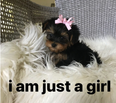 i am just a girl