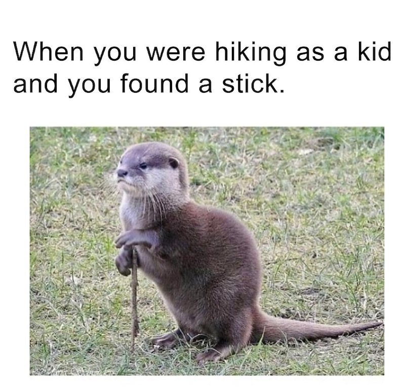 When you were hiking as a kid and you found a stick.