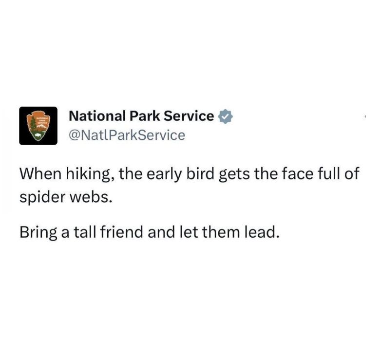 National Park Service @NatlParkService When hiking, the early bird gets the face full of spider webs. Bring a tall friend and let them lead.