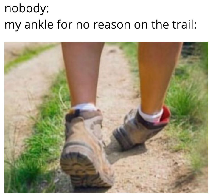 nobody: my ankle for no reason on the trail: