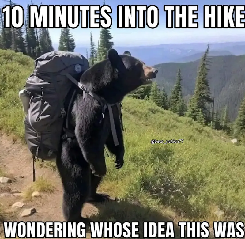 10 MINUTES INTO THE HIKE @bear_nation77 WONDERING WHOSE IDEA THIS WAS