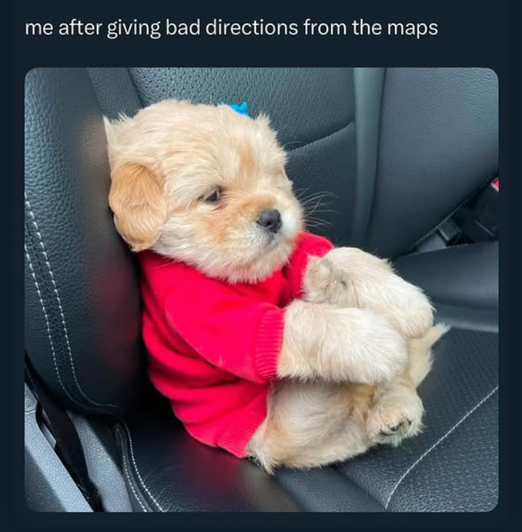 me after giving bad directions from the maps