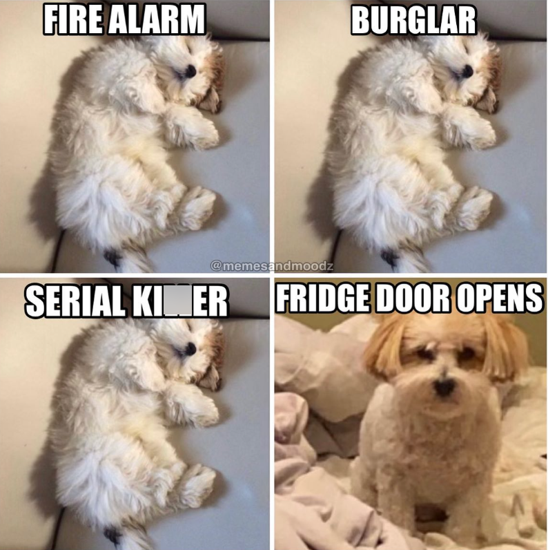 FIRE ALARM BURGLAR @memesandmoodz SERIAL KINER FRIDGE DOOR OPENS