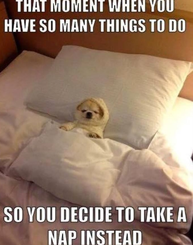 THAT MOMENT WHEN YOU HAVE SO MANY THINGS TO DO SO YOU DECIDE TO TAKE A NAP INSTEAD