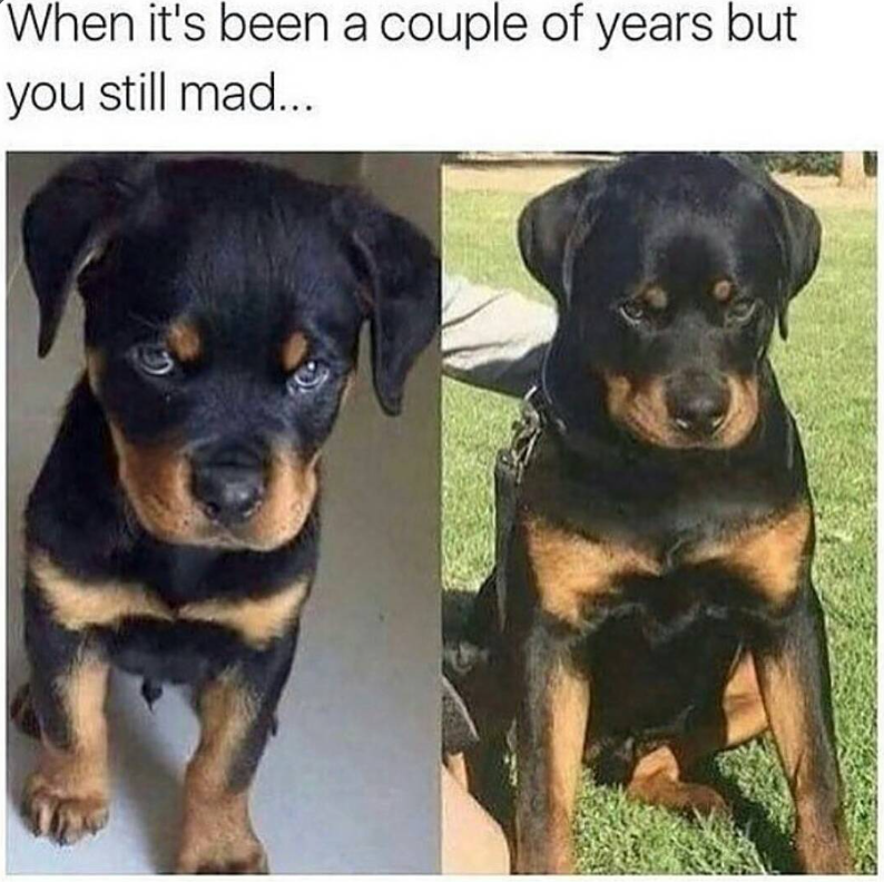When it's been a couple of years but you still mad...