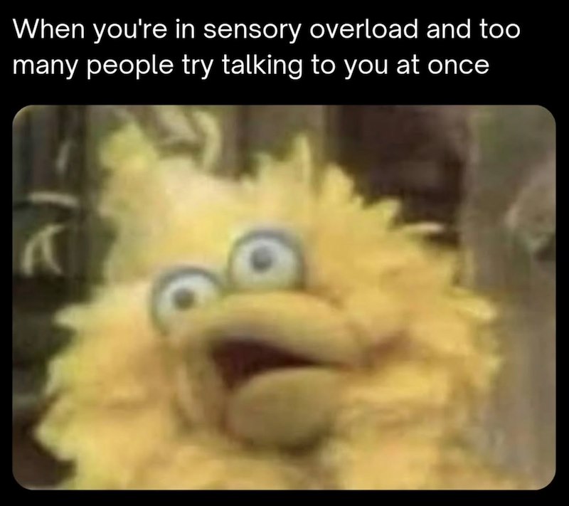 When you're in sensory overload and too many people try talking to you at once A