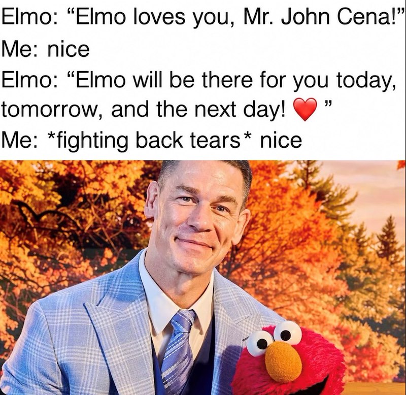 Elmo: "Elmo loves you, Mr. John Cena!" Me: nice Elmo: "Elmo will be there for you today, tomorrow, and the next day! Me: *fighting back tears* nice "