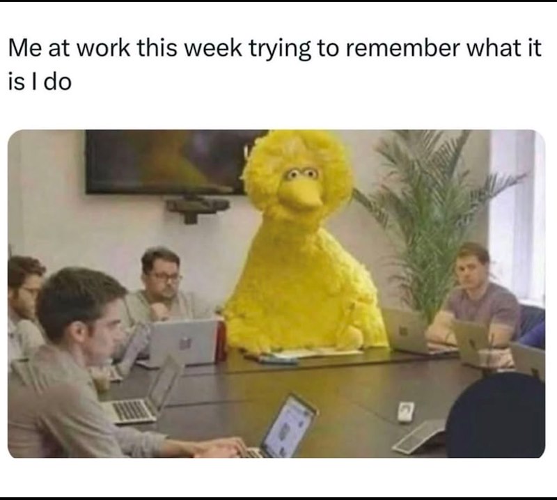 Me at work this week trying to remember what it is I do