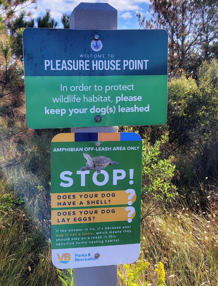 WELCOME TO PLEASURE HOUSE POINT In order to protect wildlife habitat, please keep your dog(s) leashed AMPHIBIAN OFF-LEASH AREA ONLY STOP! DOES YOUR DOG HAVE A SHELL? DOES YOUR DOG LAY EGGS? If the answer is no, it's because your dog is not a turtle, which means they should stay on a leash in this sensitive turtle nesting habitat. VB Parks & Recreation