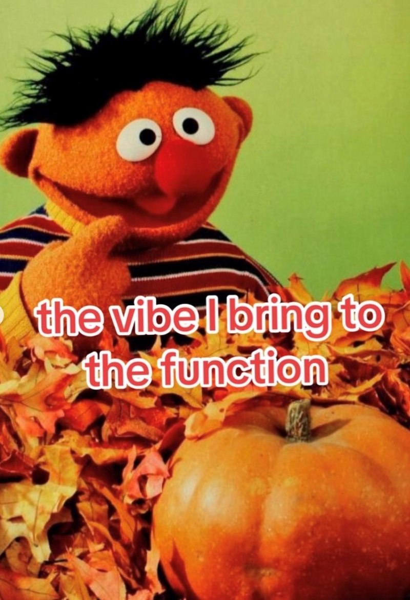 the vibe I bring to the function