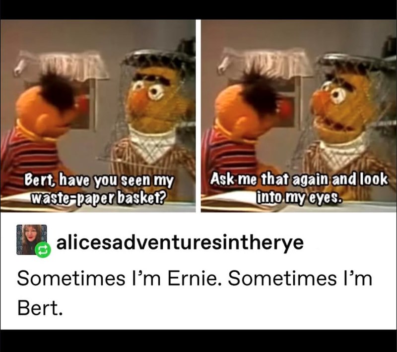 Bert, have you seen my waste-paper basket? 玩 Ask me that again and look into my eyes. alicesadventuresintherye Sometimes I'm Ernie. Sometimes I'm Bert.