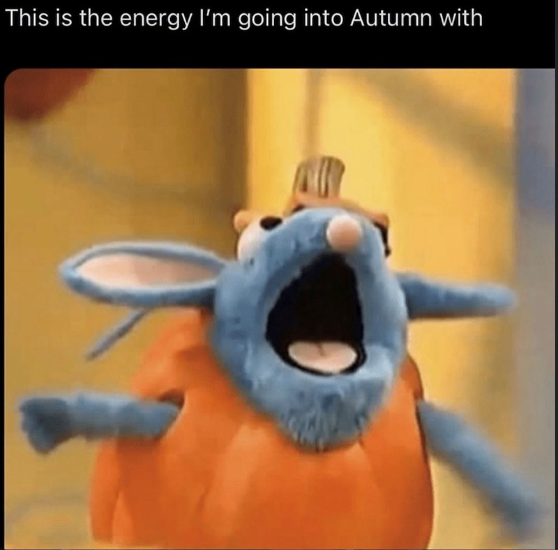 This is the energy I'm going into Autumn with