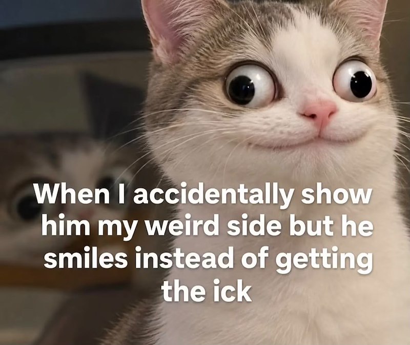 When I accidentally show him my weird side but he smiles instead of getting the ick