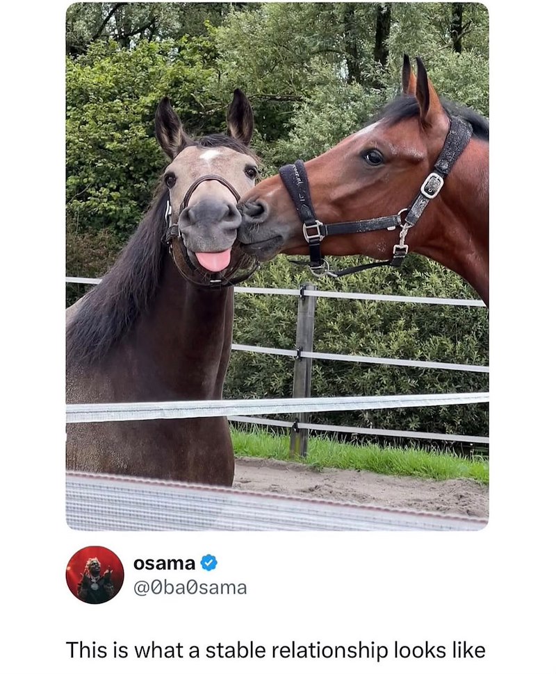 er.nl 1 osama @0ba0sama This is what a stable relationship looks like