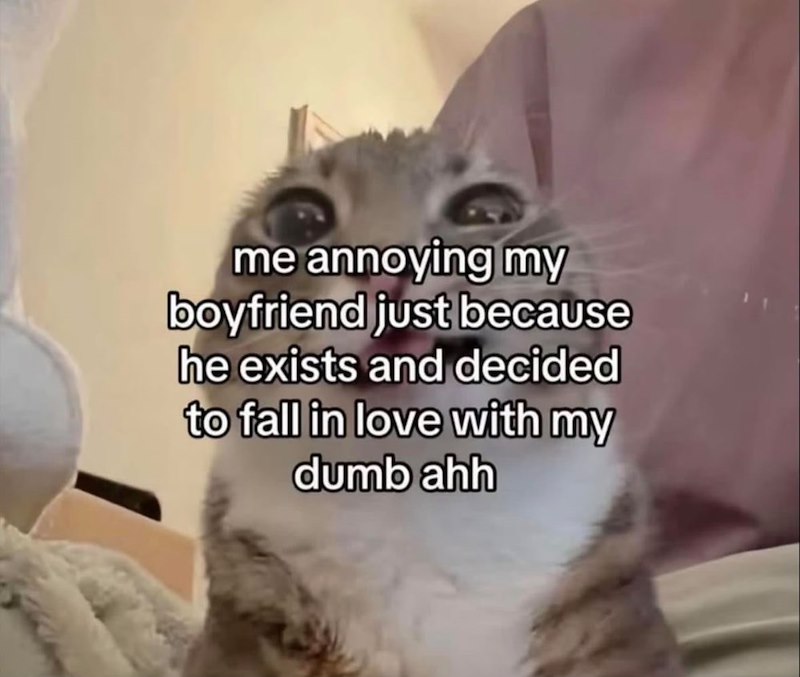 me annoying my boyfriend just because he exists and decided to fall in love with my dumb ahh