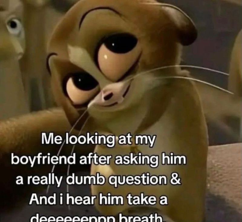 Me looking at my boyfriend after asking him a really dumb question & And i hear him take a deeeeeennn breath