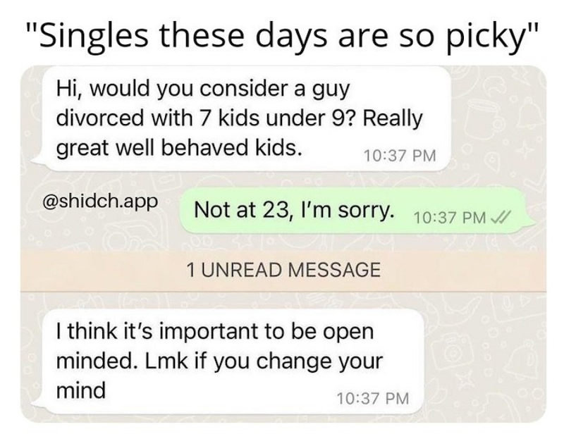 "Singles these days are so picky" Hi, would you consider a guy divorced with 7 kids under 9? Really great well behaved kids. @shidch.app 10:37 PM Not at 23, I'm sorry. 10:37 PM / On 1 UNREAD MESSAGE I think it's important to be open minded. Lmk if you change your mind 10:37 PM