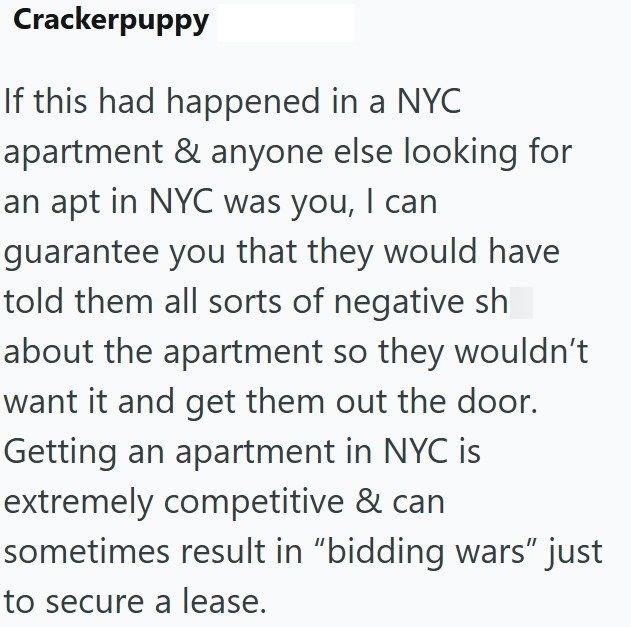 Crackerpuppy If this had happened in a NYC apartment & anyone else looking for an apt in NYC was you, I can guarantee you that they would have told them all sorts of negative sh about the apartment so they wouldn't want it and get them out the door. Getting an apartment in NYC is extremely competitive & can sometimes result in "bidding wars" just to secure a lease.