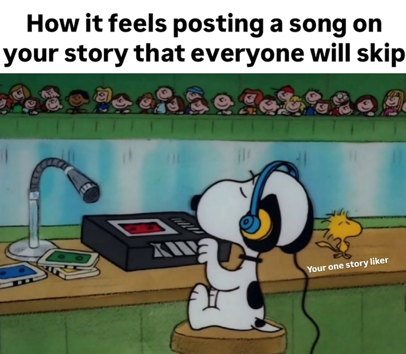 How it feels posting a song on your story that everyone will skip Your one story liker