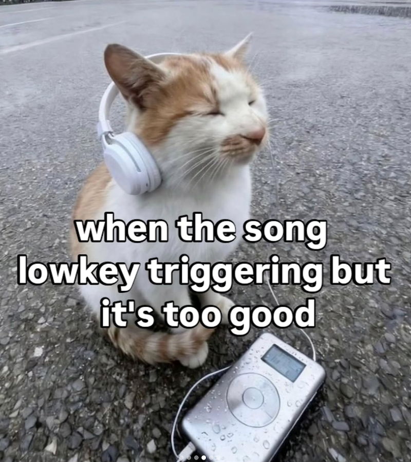 when the song lowkey triggering but it's too good