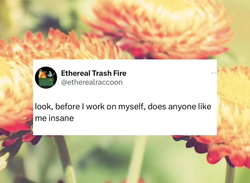 Ethereal Trash Fire @etherealraccoon look, before I work on myself, does anyone like me insane